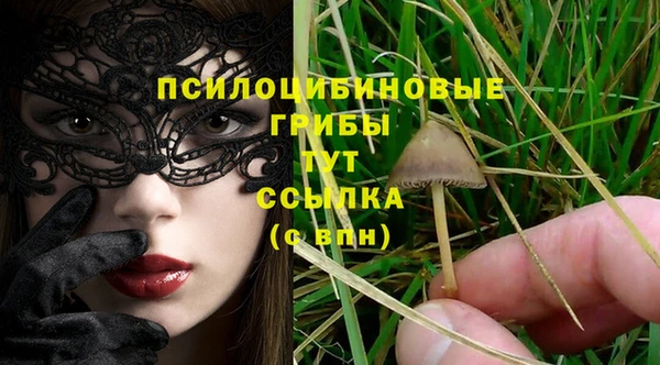 COCAINE Медвежьегорск