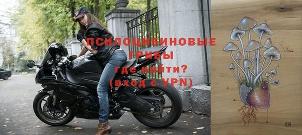 спайс Медногорск