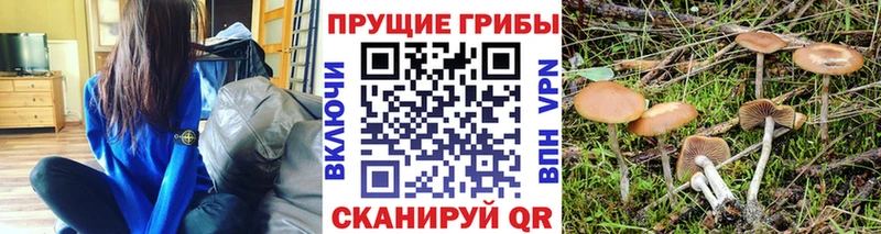 Псилоцибиновые грибы мухоморы  Чистополь 