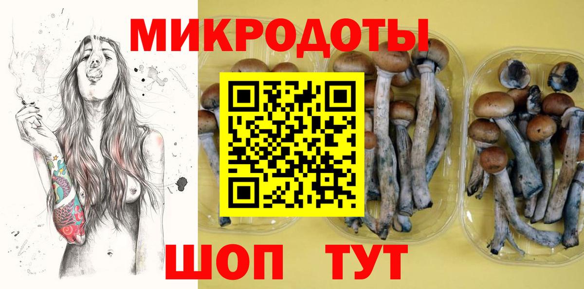 Псилоцибиновые грибы GOLDEN TEACHER Чистополь